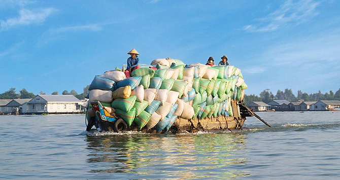 Floating Market in Mekong Delta